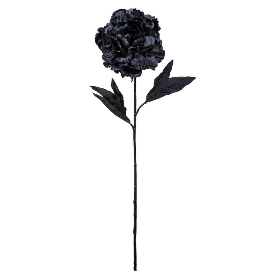 Floral * | New 12 Pack: Black Peony Stem By Ashland