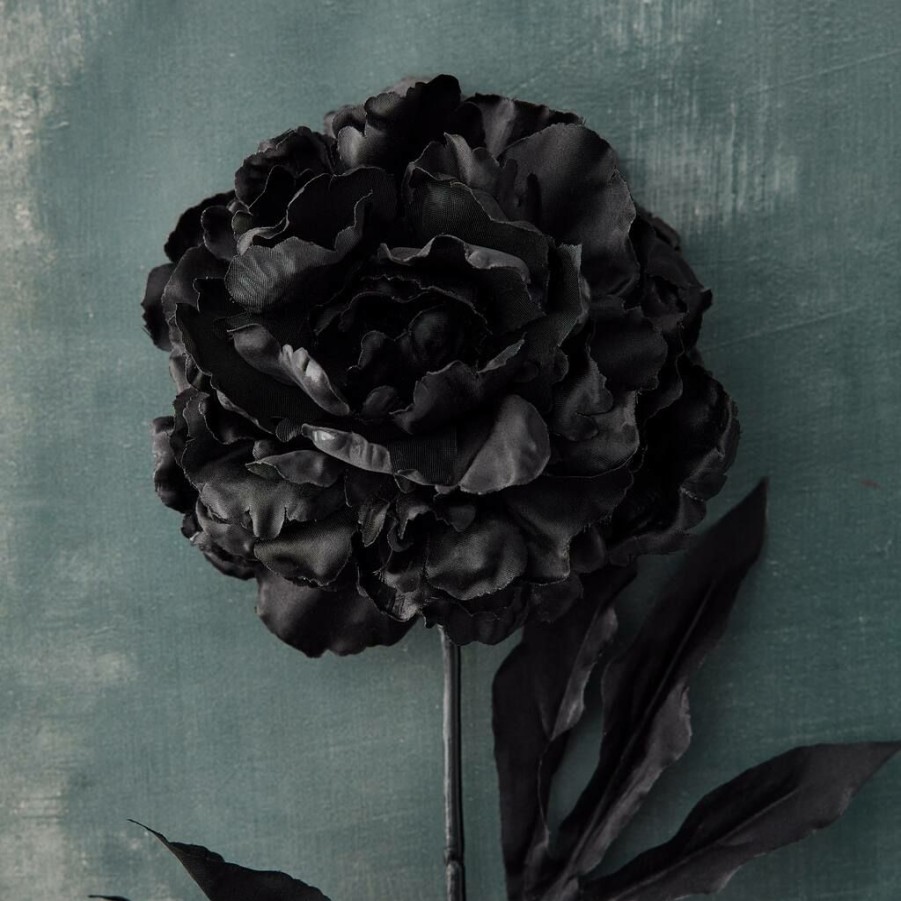 Floral * | New 12 Pack: Black Peony Stem By Ashland