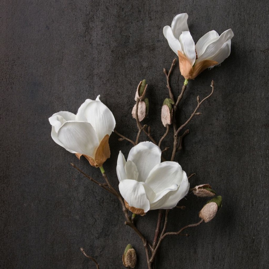 Floral * | Cheapest White Magnolia Branch Stem By Ashland