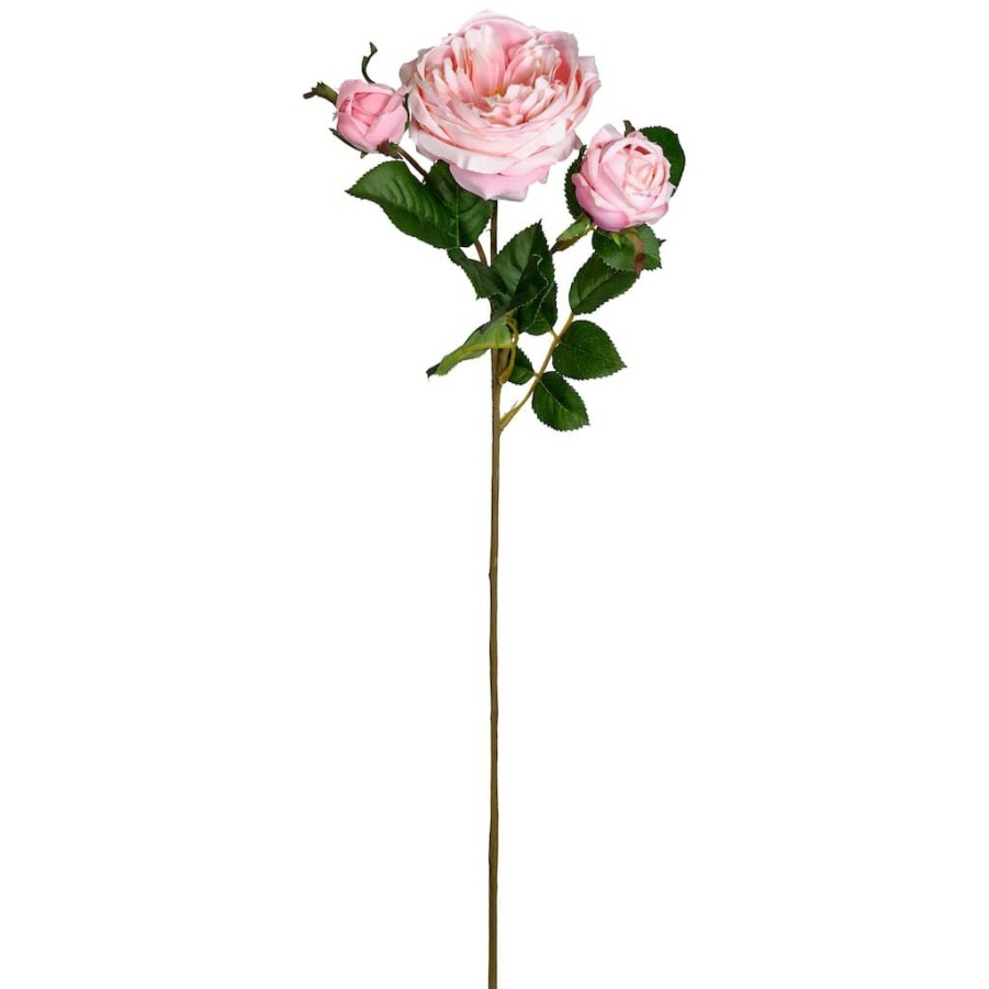 Floral * | Flash Sale 12 Pack: Light Pink English Rose Stem By Ashland