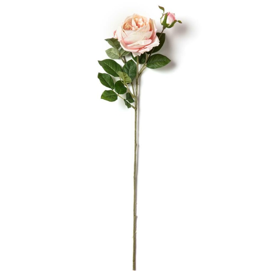 Floral * | Flash Sale 12 Pack: Light Pink English Rose Stem By Ashland