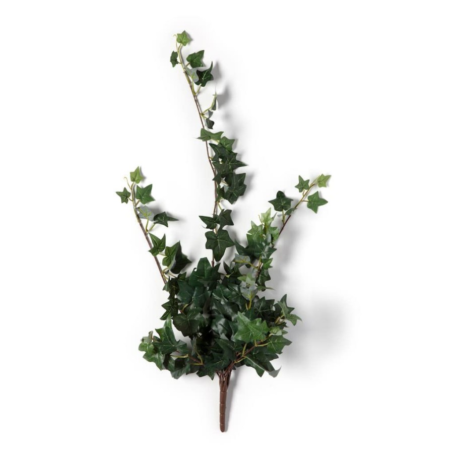 Floral * | Flash Sale Assorted Mini English Ivy Bush By Ashland