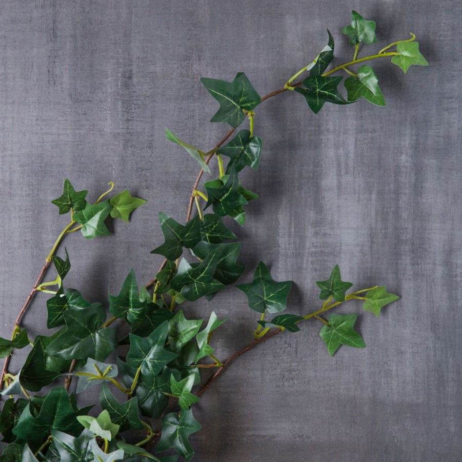 Floral * | Flash Sale Assorted Mini English Ivy Bush By Ashland