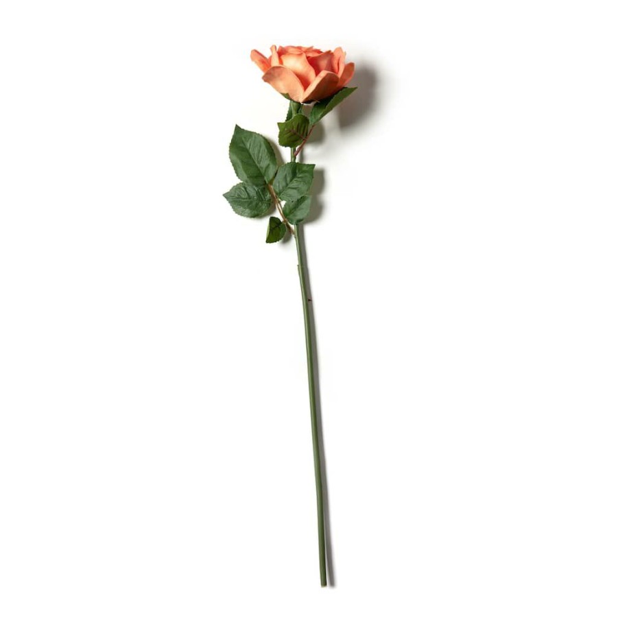 Floral * | Budget Coral Rose Stem By Ashland