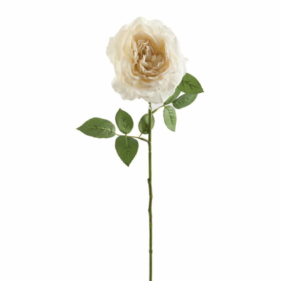 Floral * | Cheap White Sophia Rose Stem By Ashland