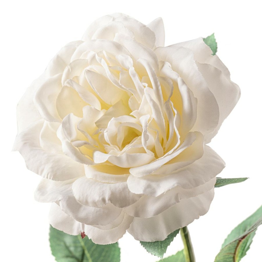 Floral * | Cheap White Sophia Rose Stem By Ashland