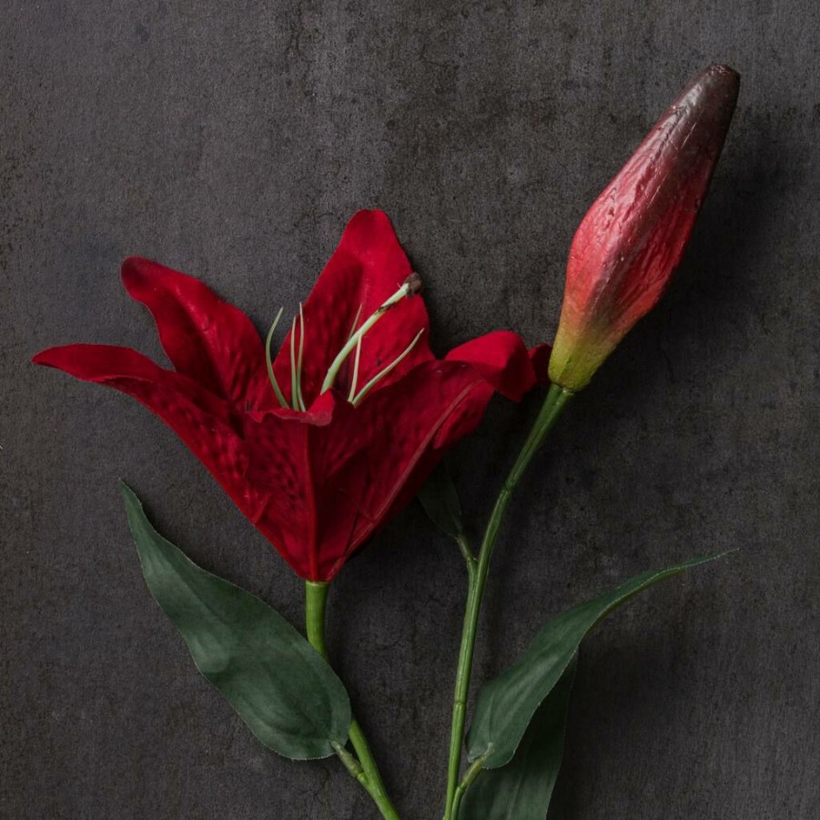 Floral * | Wholesale 12 Pack: Red Casablanca Lily Stem By Ashland