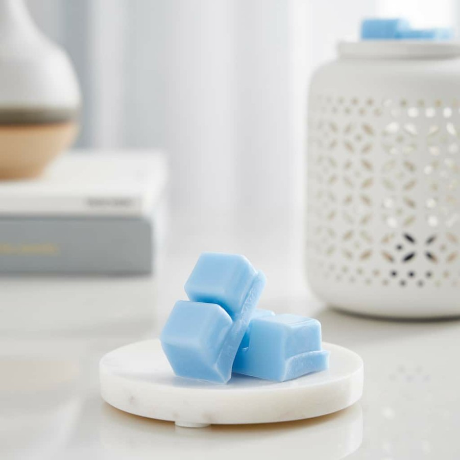 Home & Decor * | Brand New Ocean & Driftwood Scented Wax Melt By Ashland