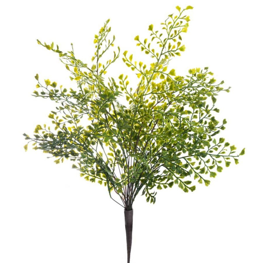 Floral * | Best Pirce Forest Fern Bush By Ashland