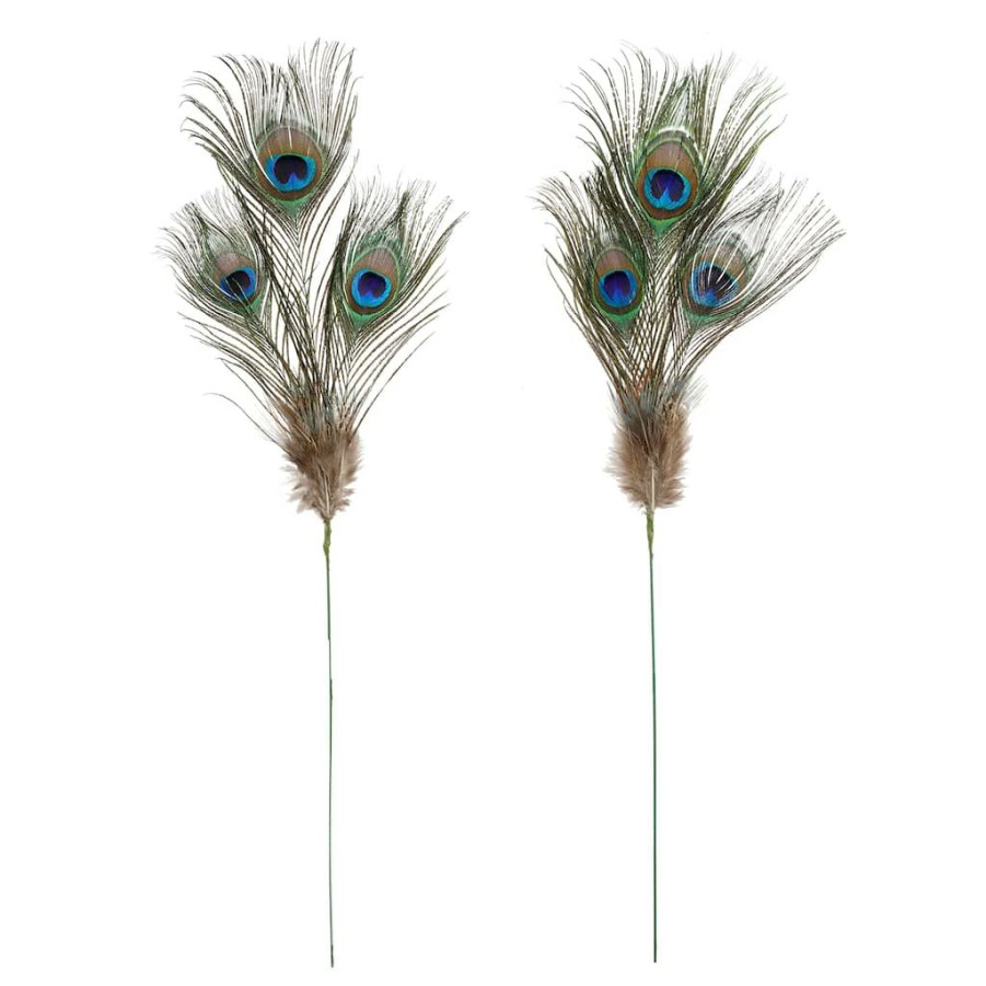 Floral * | Promo Peacock Feather Picks By Ashland