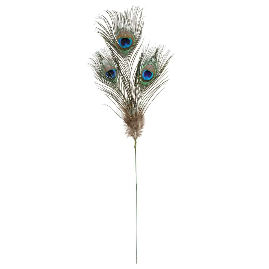 Floral * | Promo Peacock Feather Picks By Ashland