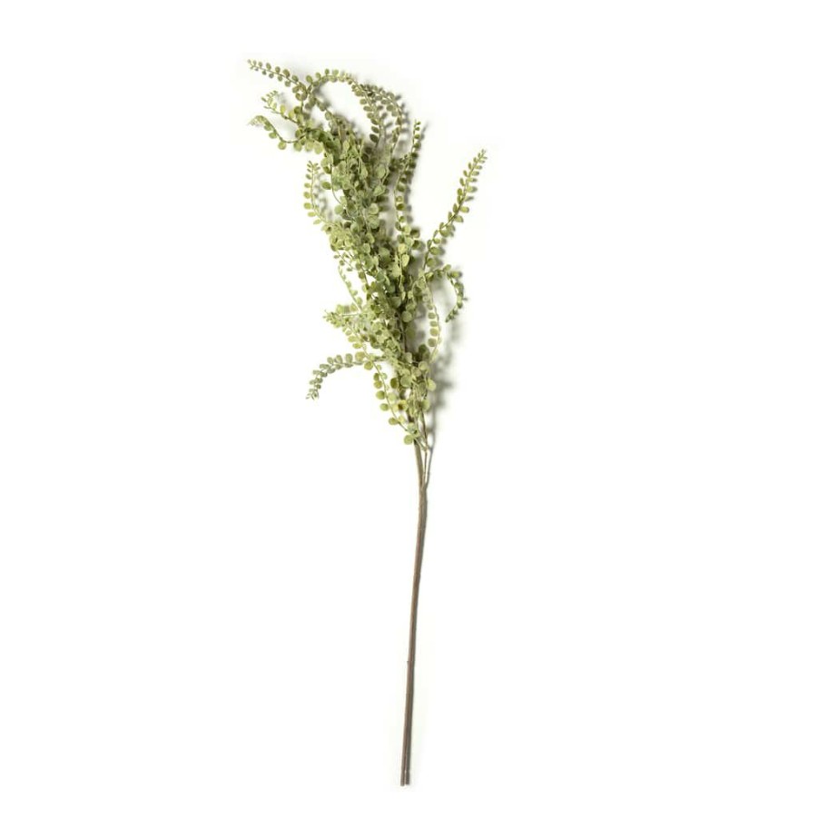 Floral * | Wholesale Weeping Fern Stem By Ashland