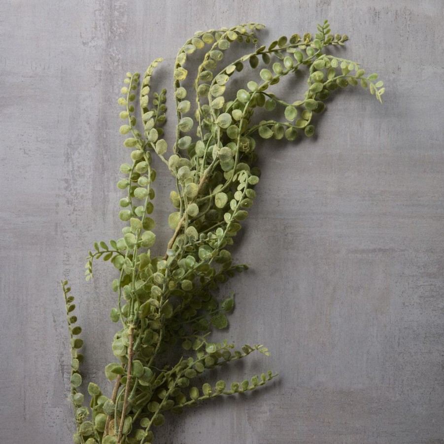 Floral * | Wholesale Weeping Fern Stem By Ashland