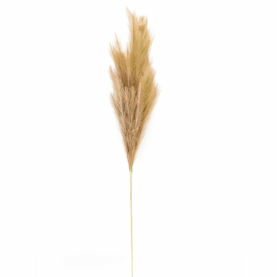 Floral * | Budget Wispy Pampas Grass Stem By Ashland