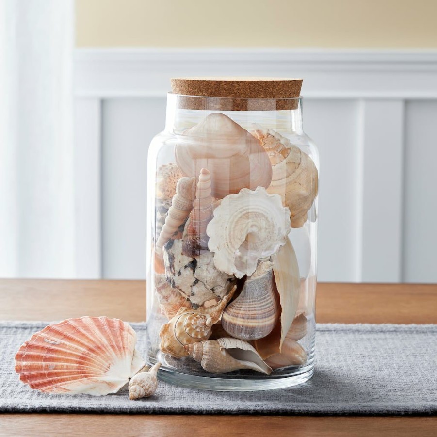 Floral * | Cheapest 6 Pack: Mixed Shells Value Bag By Ashland