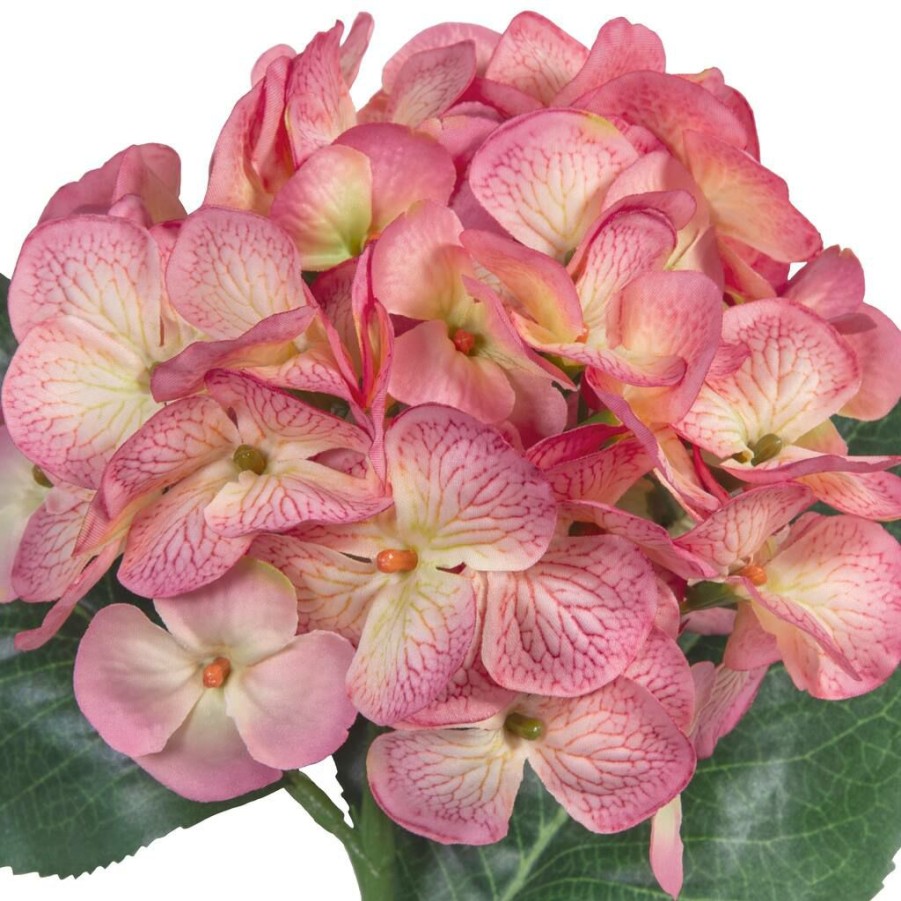 Floral * | Hot Sale 12 Pack: Mauve Hydrangea Stem By Ashland