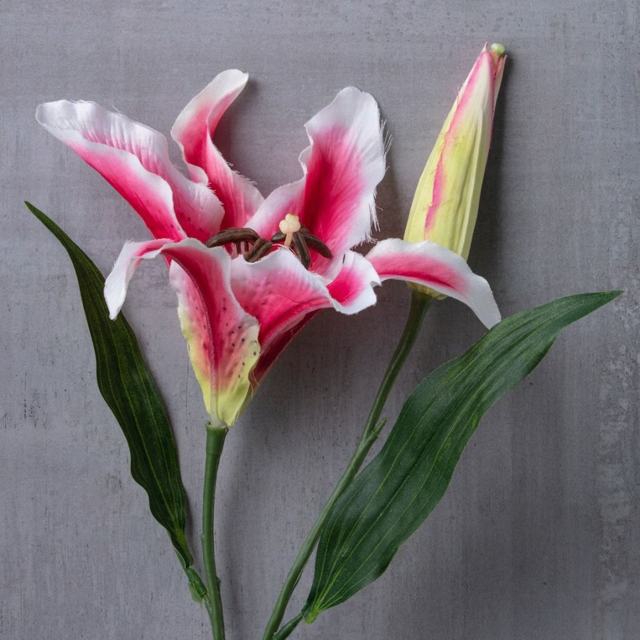 Floral * | Budget Rubrum Lily Spray By Ashland