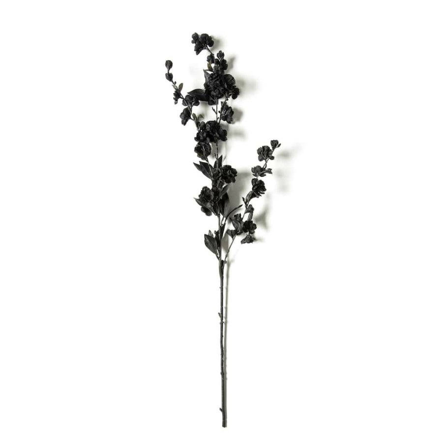 Floral * | Brand New Black Blossom Spray By Ashland