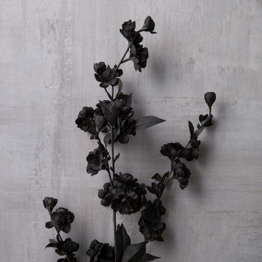 Floral * | Brand New Black Blossom Spray By Ashland