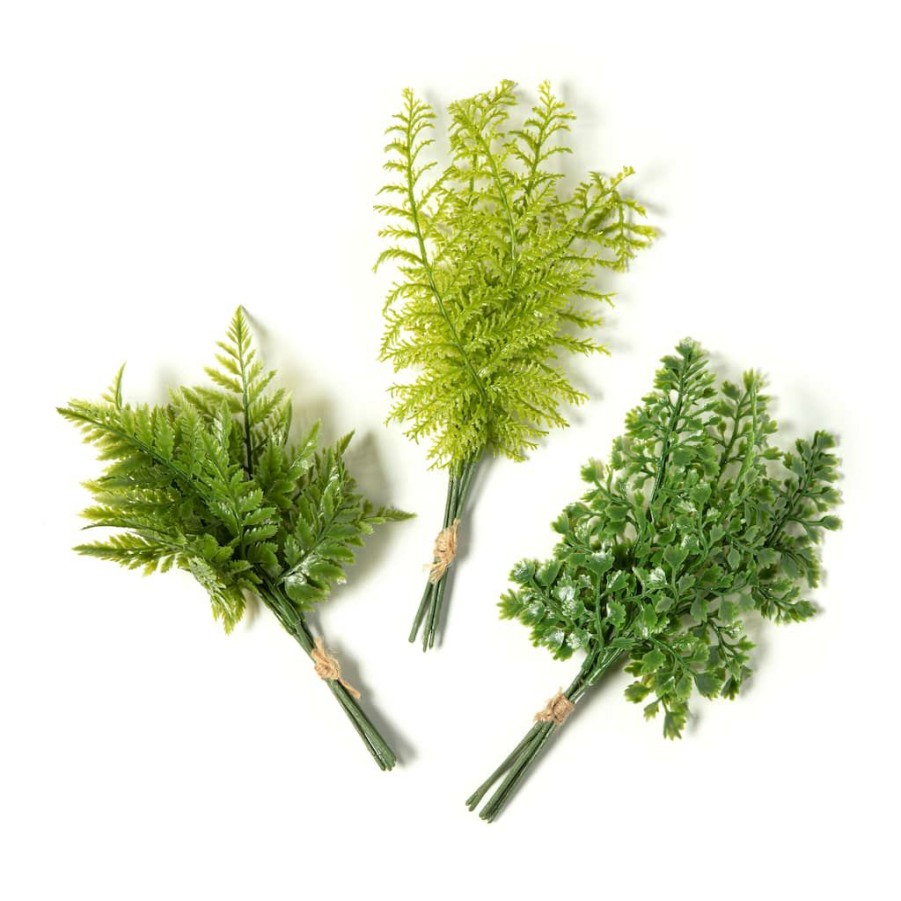 Floral * | Buy Assorted Green Fern Bundle By Ashland