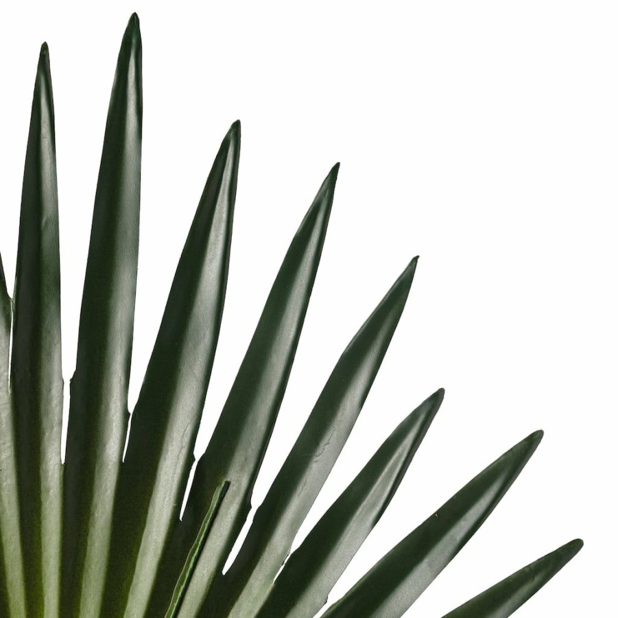 Floral * | Flash Sale 6 Pack: Green Fan Palm Stem By Ashland