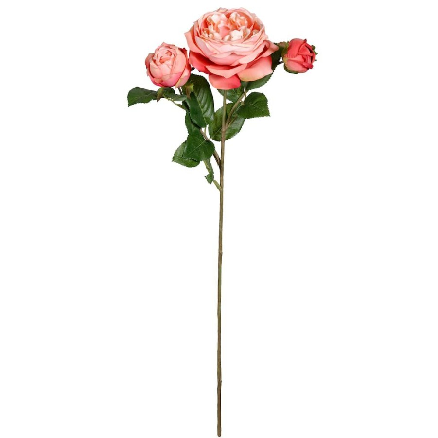 Floral * | Discount Coral English Rose Stem By Ashland