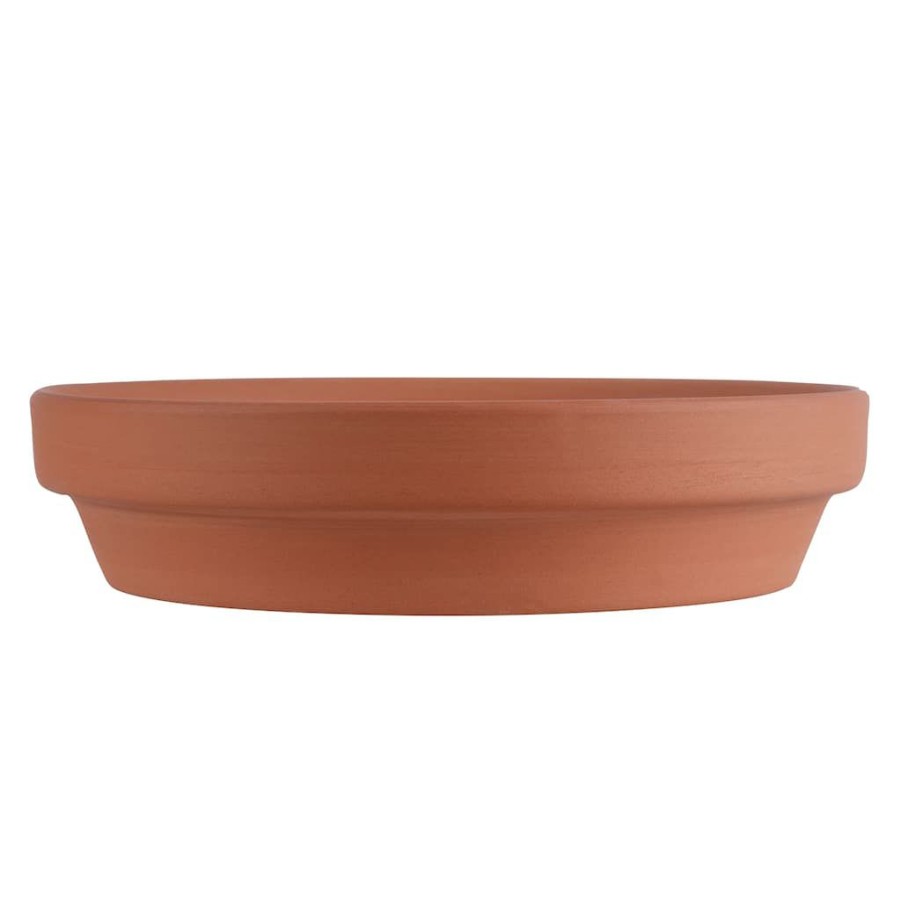 Floral * | Outlet Clay Saucer By Ashland Terra Cotta