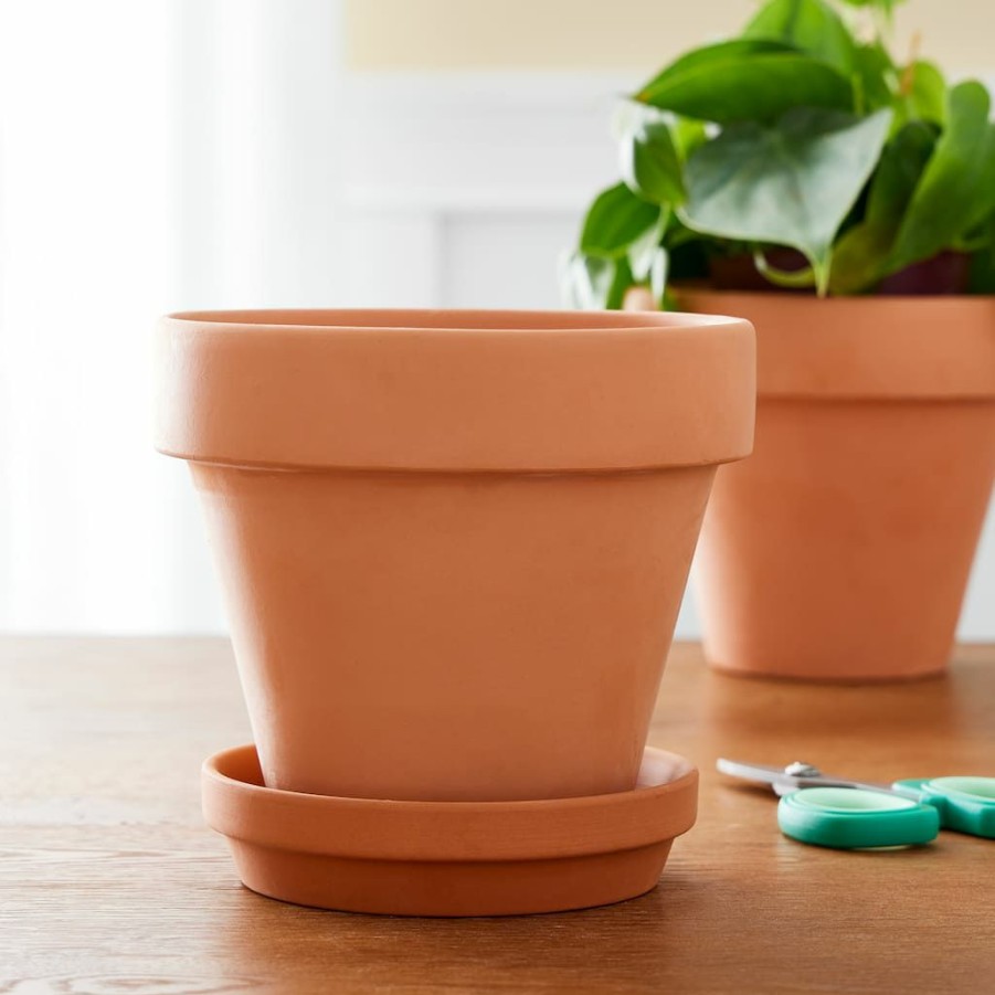 Floral * | Outlet Clay Saucer By Ashland Terra Cotta