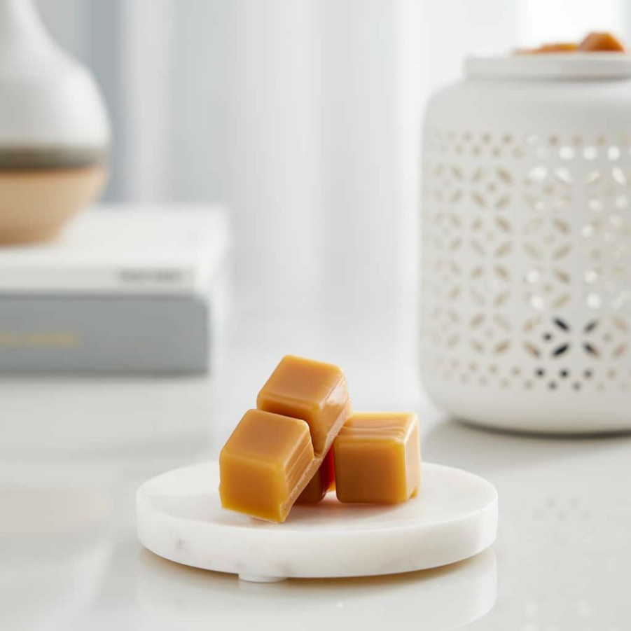 Home & Decor * | Best Deal Grapefruit & Honey Wax Melts By Ashland