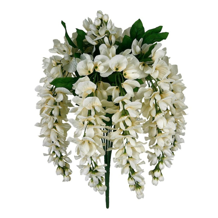 Floral * | Wholesale Cream Wisteria Bush By Ashland