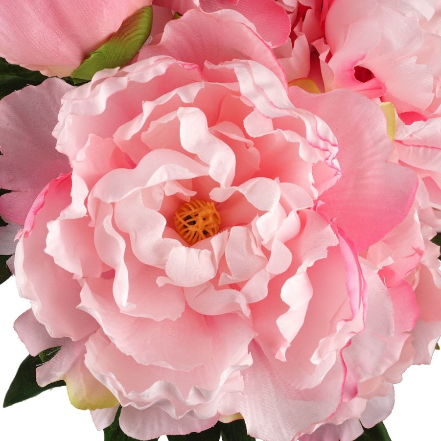 Floral * | Wholesale Pink Peony Bush By Ashland