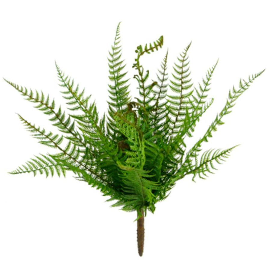 Floral * | Budget Boston Fern Bush By Ashland