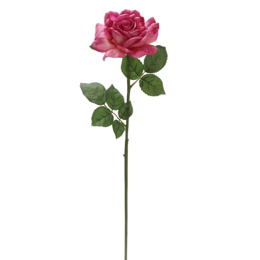 Floral * | Best Sale 6 Pack: Fuchsia Rose Stem By Ashland