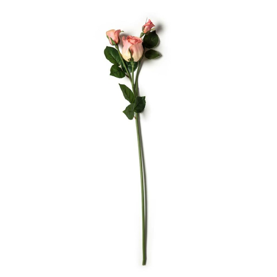 Floral * | Deals Pink Rose Stem By Ashland