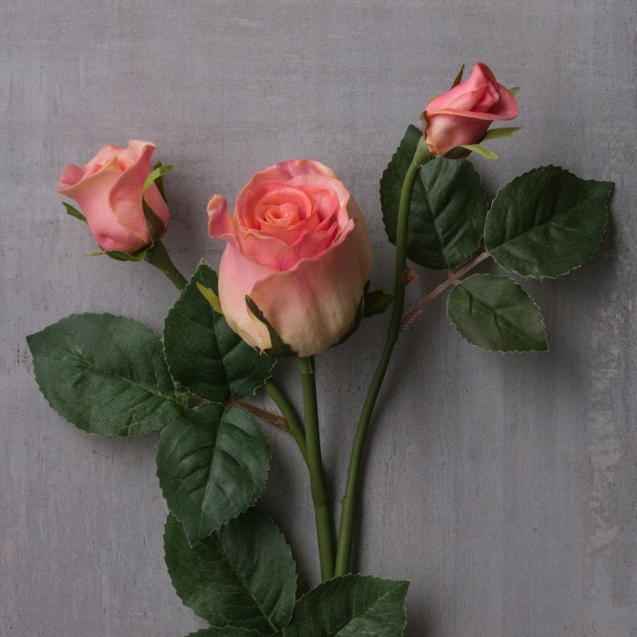 Floral * | Deals Pink Rose Stem By Ashland