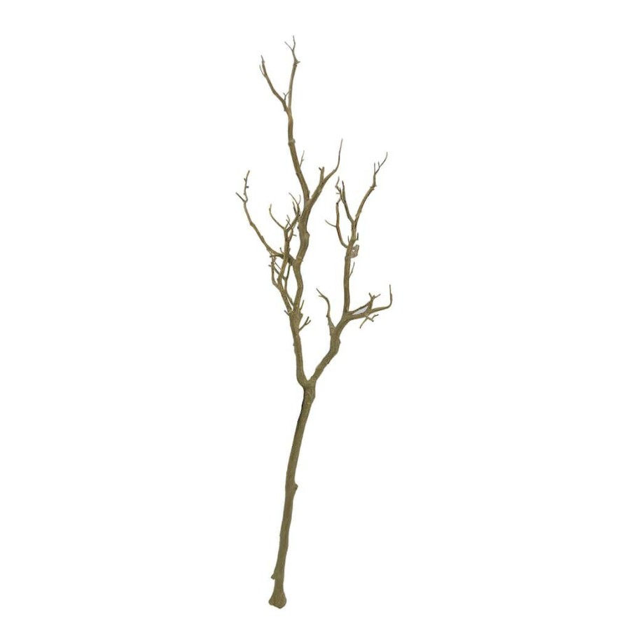 Floral * | Deals Bare Birch Branch By Ashland