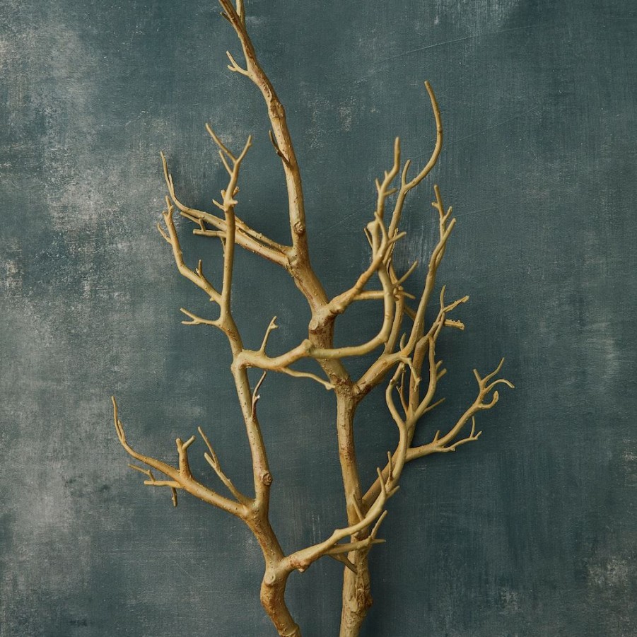 Floral * | Deals Bare Birch Branch By Ashland