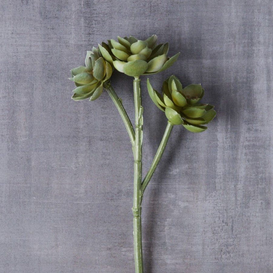 Floral * | Hot Sale Ashland Succulent Pick