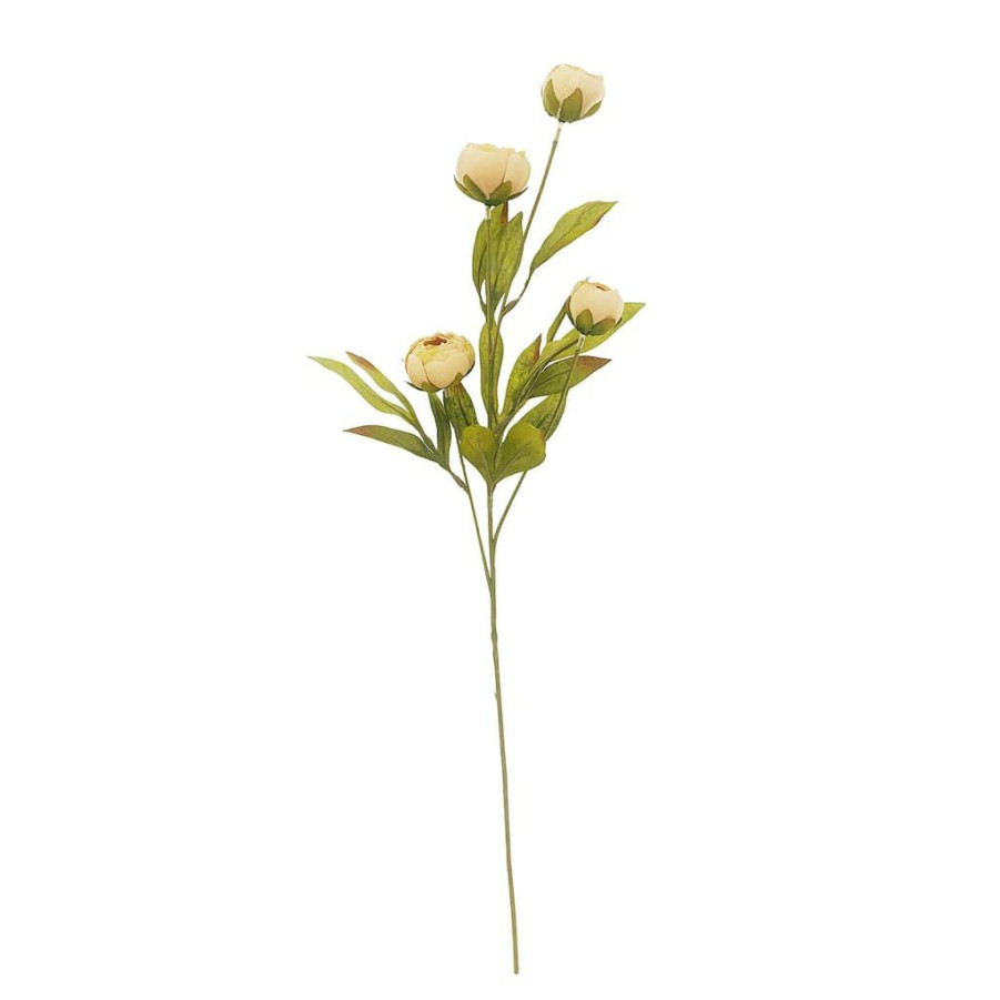 Floral * | Deals Tan Peony Stem By Ashland