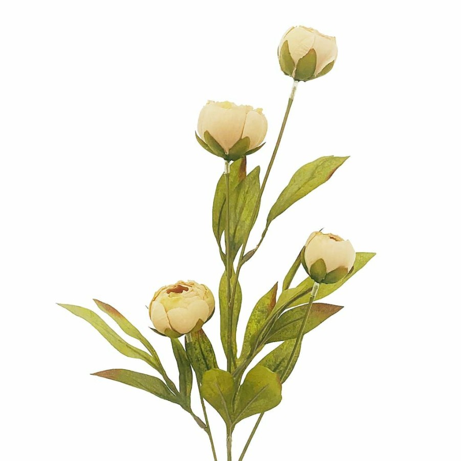 Floral * | Deals Tan Peony Stem By Ashland