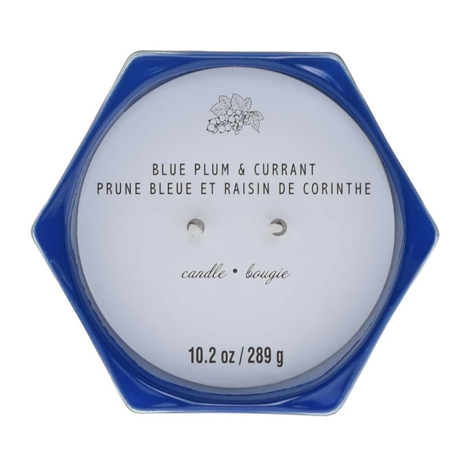 Home & Decor * | Best Deal Blue Plum & Currant 2-Wick Jar Candle By Ashland