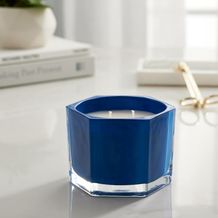 Home & Decor * | Best Deal Blue Plum & Currant 2-Wick Jar Candle By Ashland