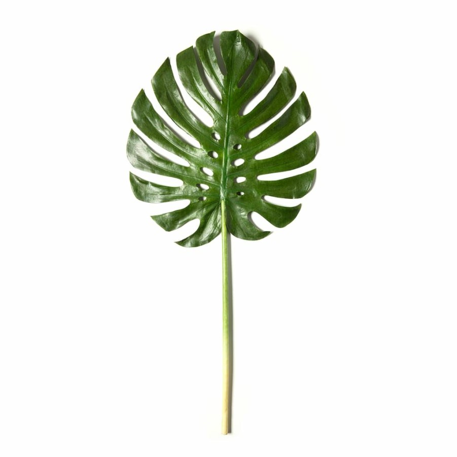 Floral * | Brand New Tropical Monstera Leaf Stem By Ashland