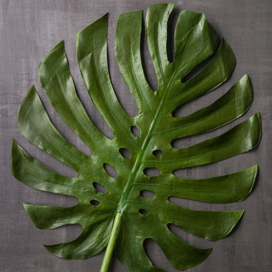 Floral * | Brand New Tropical Monstera Leaf Stem By Ashland