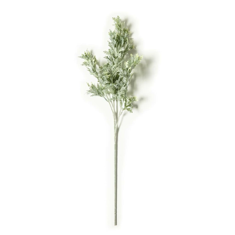 Floral * | Cheap Dusty Miller Stem By Ashland