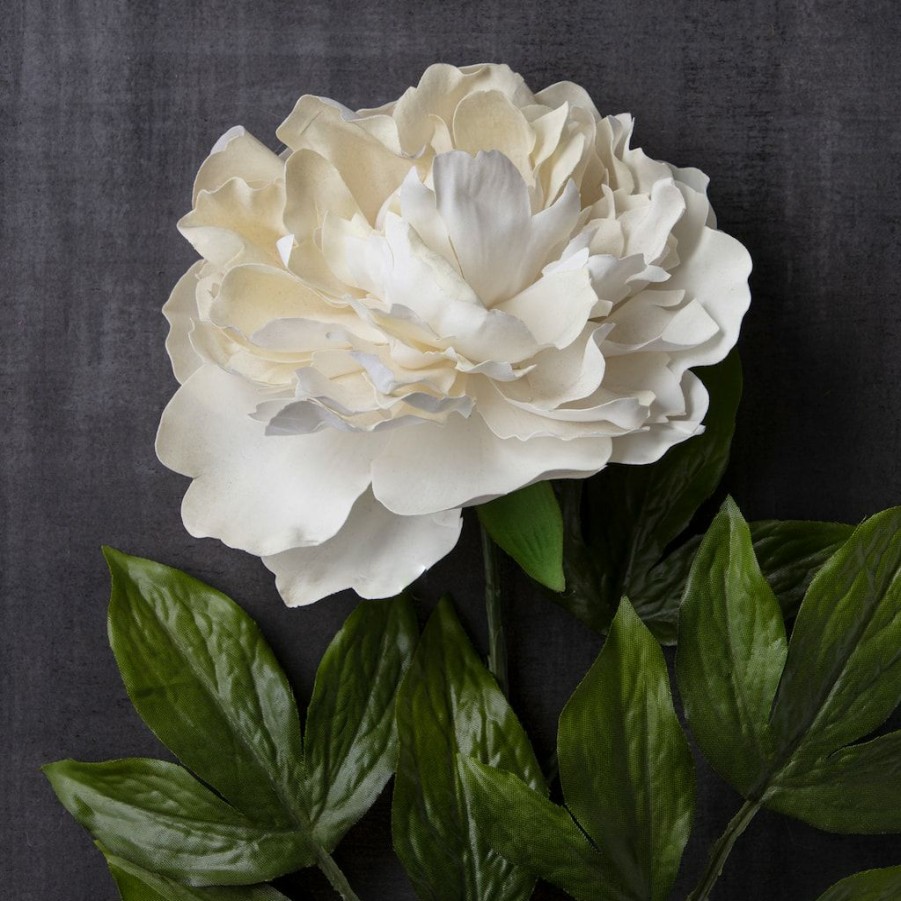 Floral * | Cheap White Peony Spray By Ashland Classic Traditions