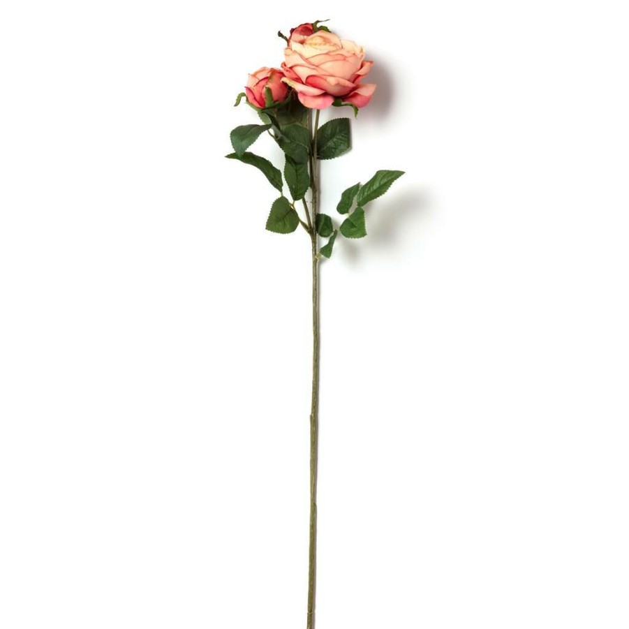 Floral * | Best Sale 12 Pack: Pink Coral English Rose Stem By Ashland