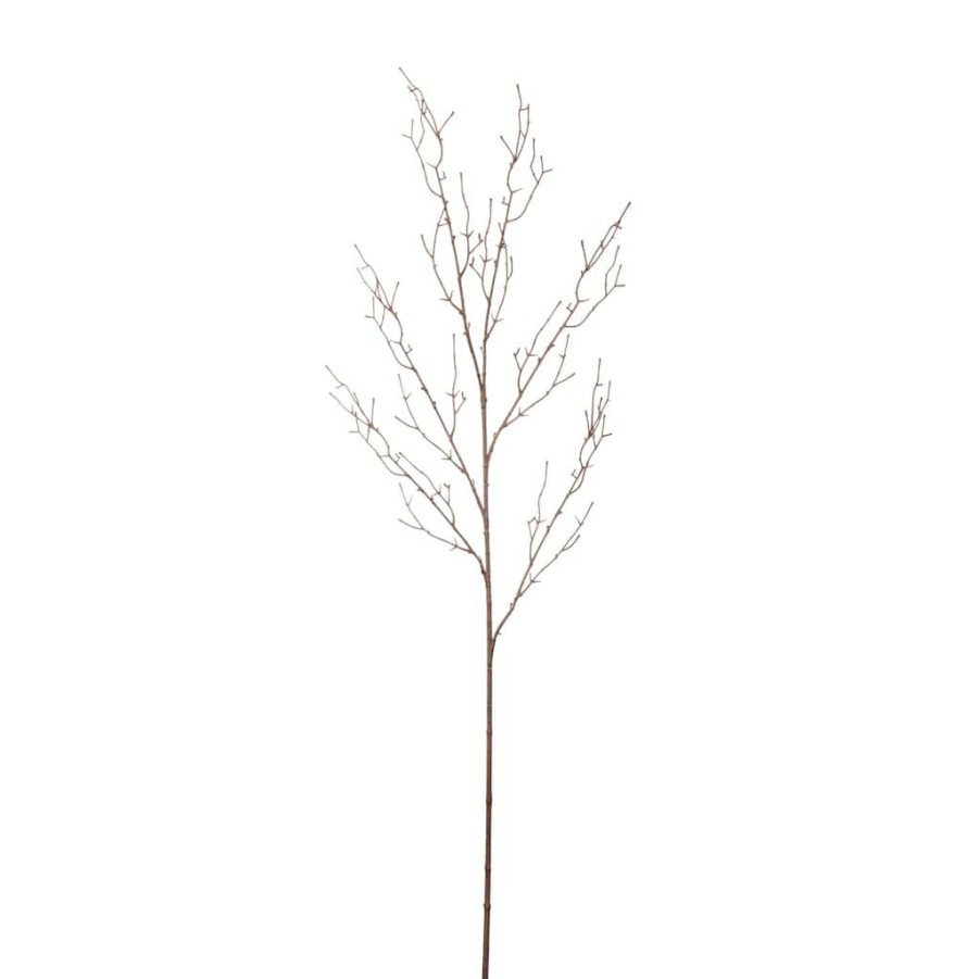 Floral * | Discount 12 Pack: Brown Twig Stem By Ashland