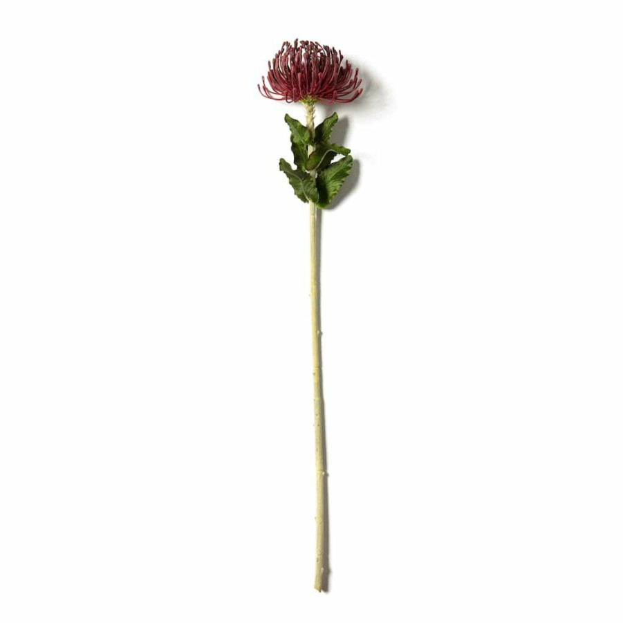 Floral * | Cheap Red Pincushion Protea Spray By Ashland