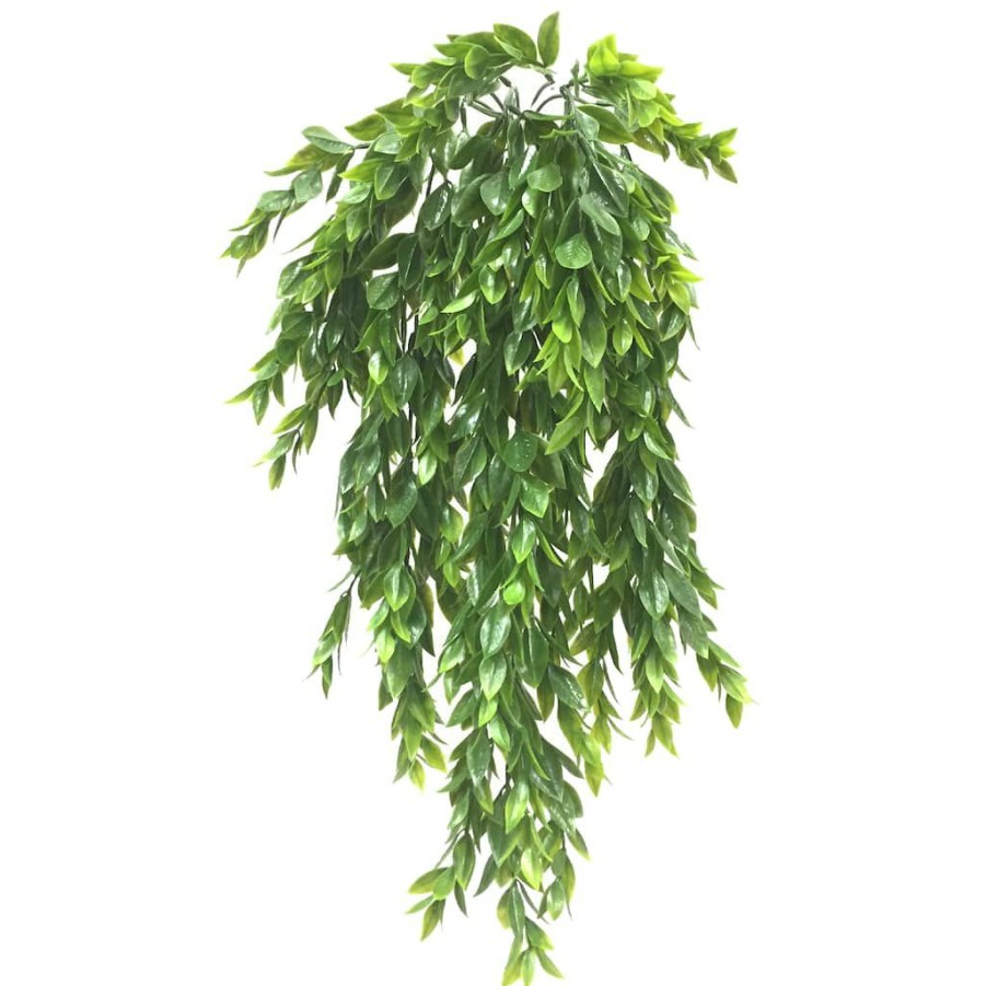 Floral * | Best Sale Hanging Ruscus Bush By Ashland